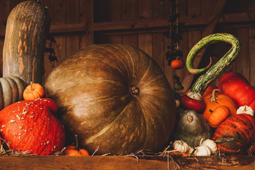 Citrouilles - Halloween