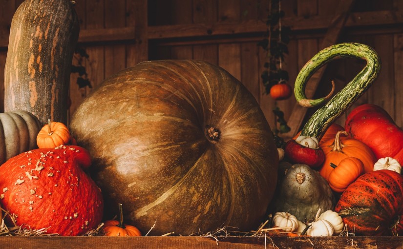 Halloween en Alsace 2018 : notre top 5 des activités à faire !