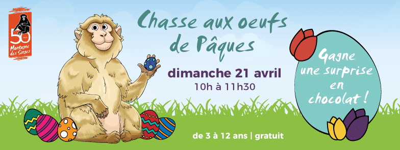 chasse aux oeufs Montagne des Singes