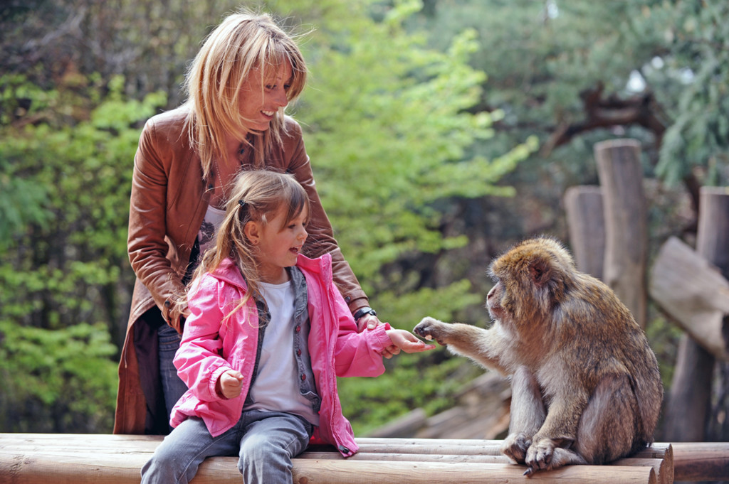 Montagne des Singes en famille