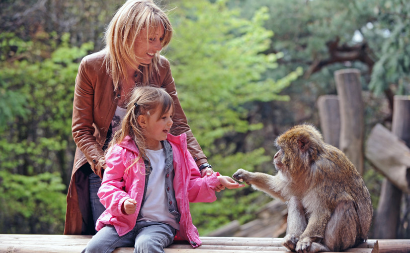 L&rsquo;Alsace en famille : que visiter et que faire en Alsace en famille ?