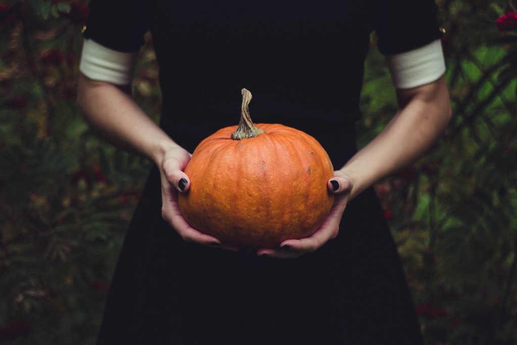 Citrouille - Halloween en Alsace 2019