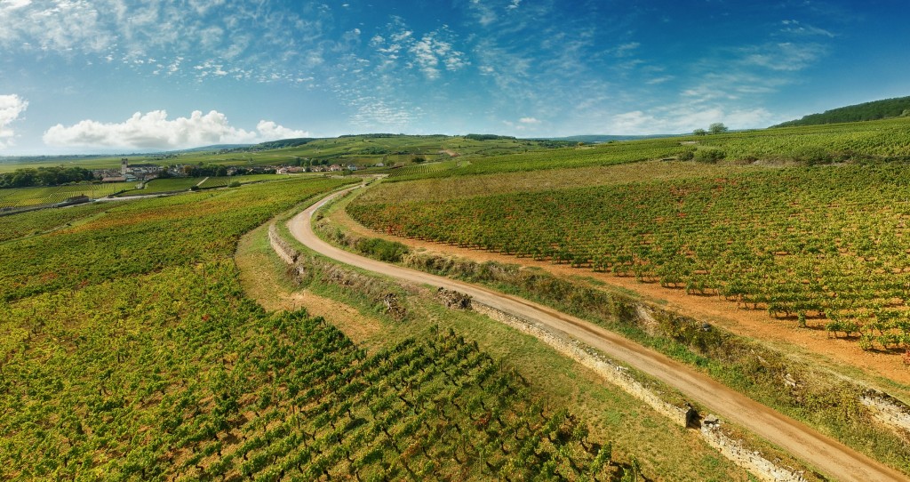 Vignobles Bourgogne