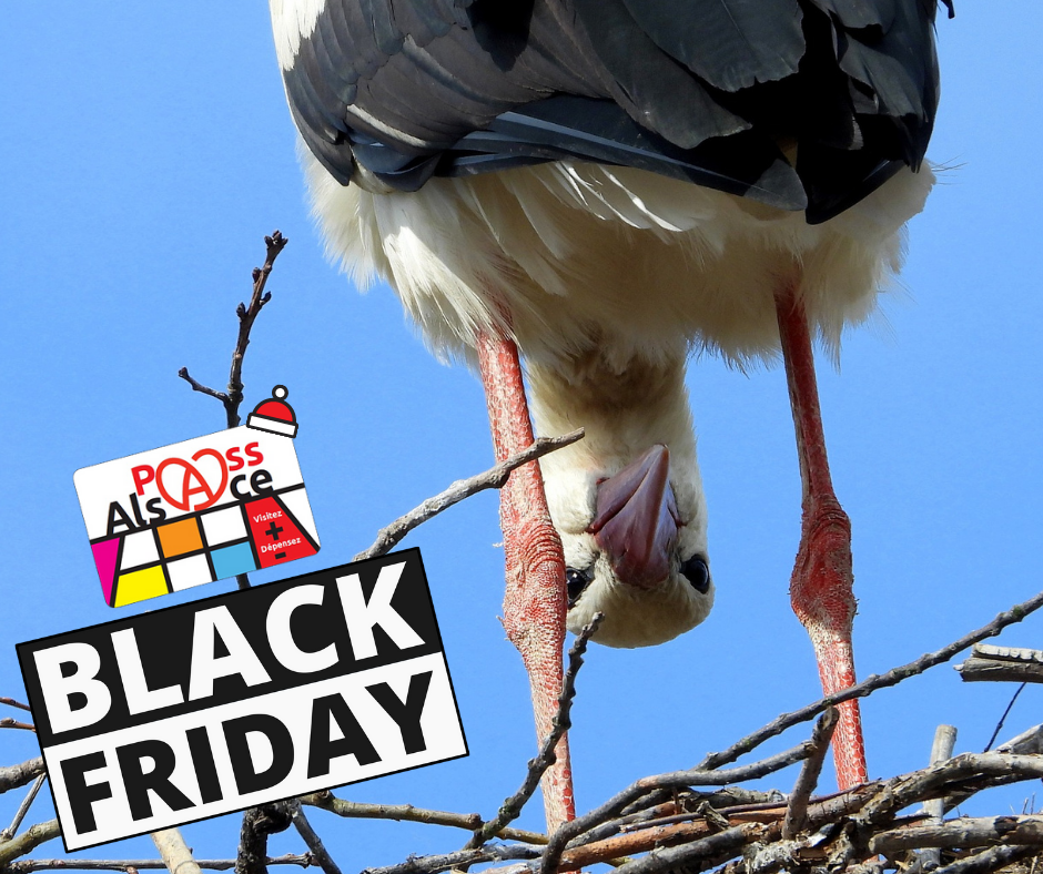 Black Friday en Alsace 2020