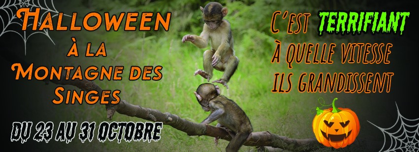 Halloween en Alsace - Montagne des Singes