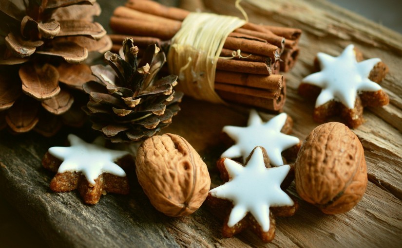 Alsace en hiver 2021 : que voir ? que faire ? quel visite ?