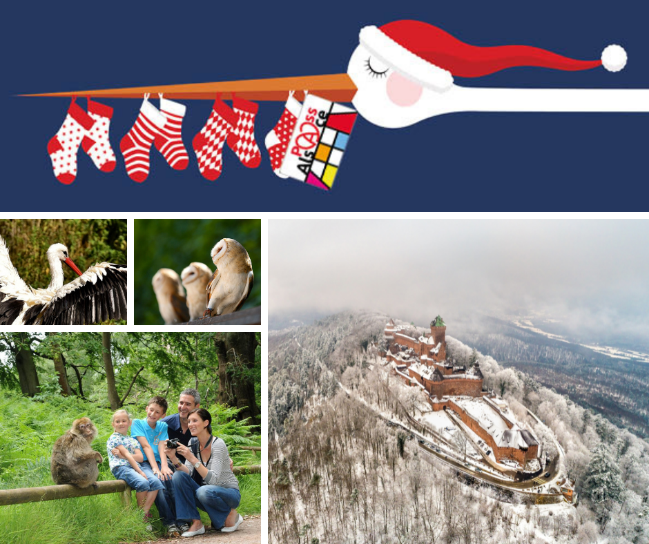 L'Alsace sous le sapin de Noël en 2021