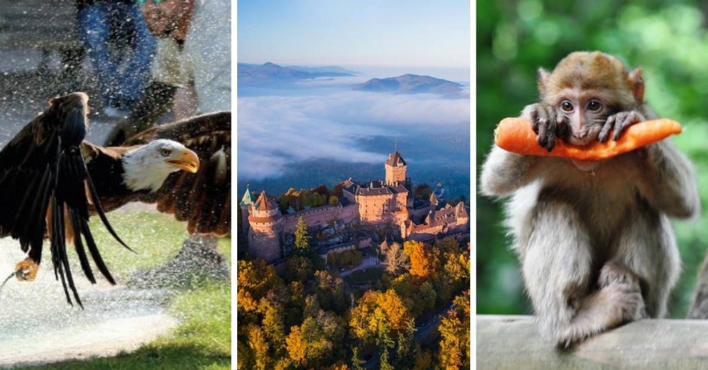 1 massif, 3 sites incontournables en Alsace