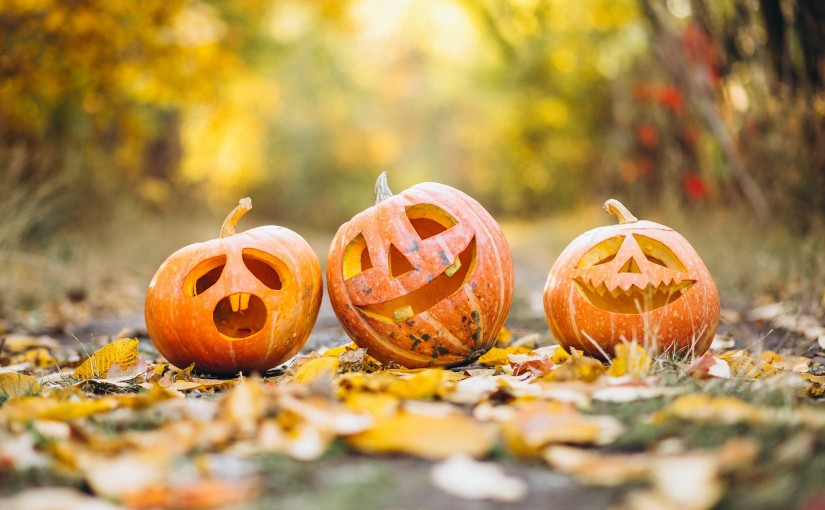 Halloween dans les Châteaux d’Alsace 2025 : 4 Expériences Effrayantes à Vivre !