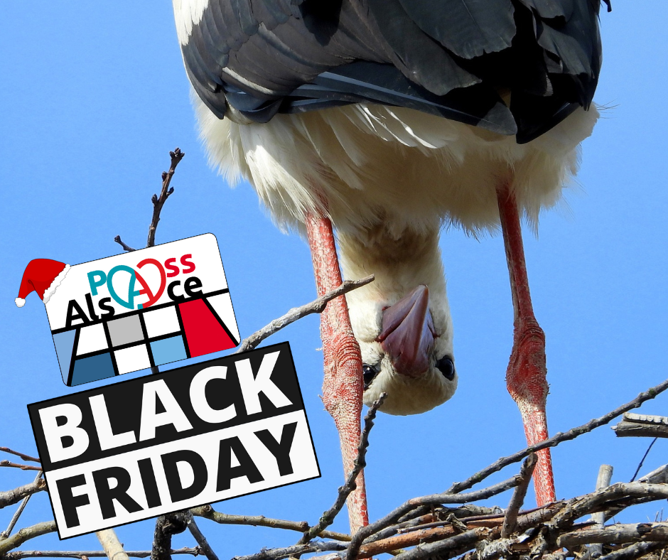 Black Friday Pass'Alsace 2024